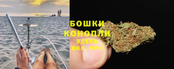 дживик Киренск