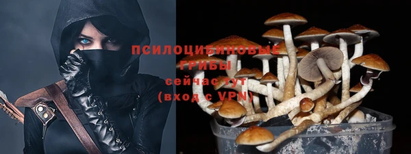 дживик Киренск