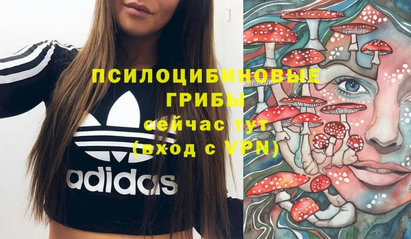мескалин Киреевск