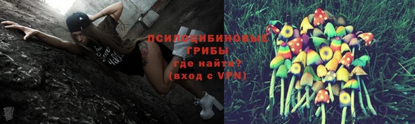 мескалин Киреевск