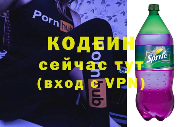 дживик Киренск