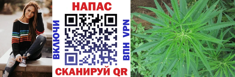 Каннабис SATIVA & INDICA Хадыженск